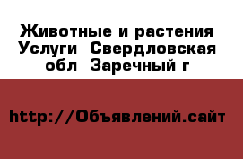 Животные и растения Услуги. Свердловская обл.,Заречный г.